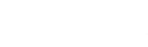 Developer Logo